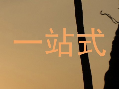 一站式
