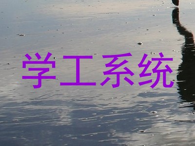 学工系统
