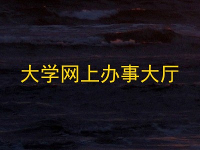 大学网上办事大厅