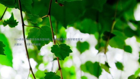 2024高校排课管理系统选型指南:如何精准匹配教学管理需求
关键词: 排课管理系统