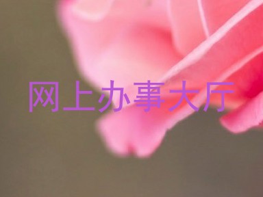 网上办事大厅