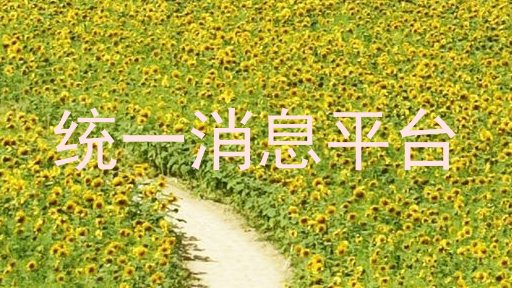 统一消息平台