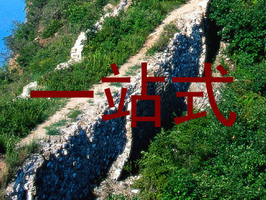 一站式