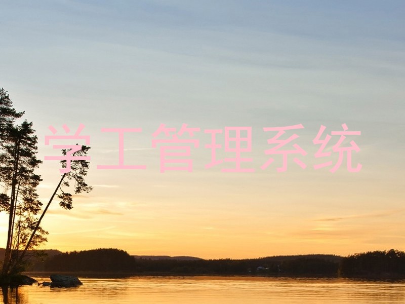 学工管理系统