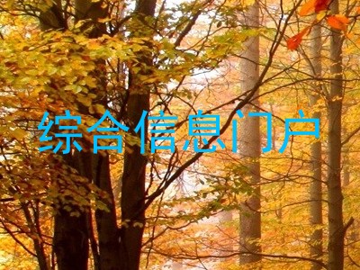 综合信息门户