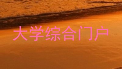 大学综合门户