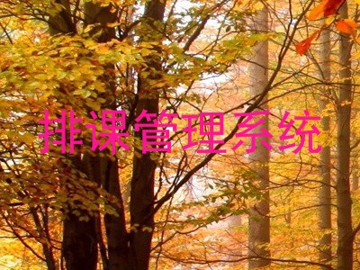 排课管理系统