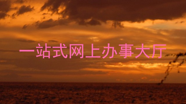 一站式网上办事大厅