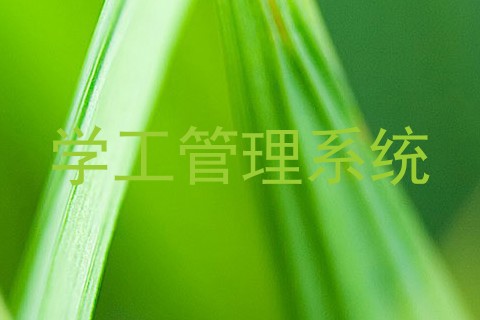 学工管理系统