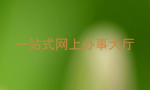 一站式网上办事大厅