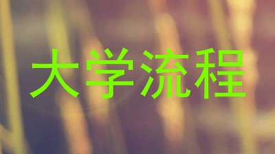 大学流程