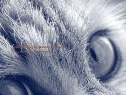 科研管理系统在高校教学使用阶段的场景化应用与决策支持
## 优化科研管理流程,提升教学资源配置