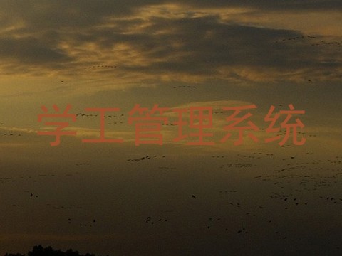 学工管理系统