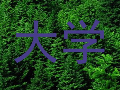 大学