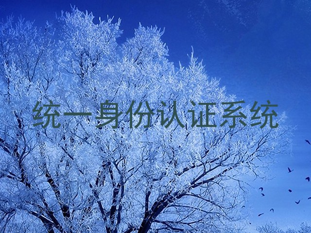 统一身份认证系统