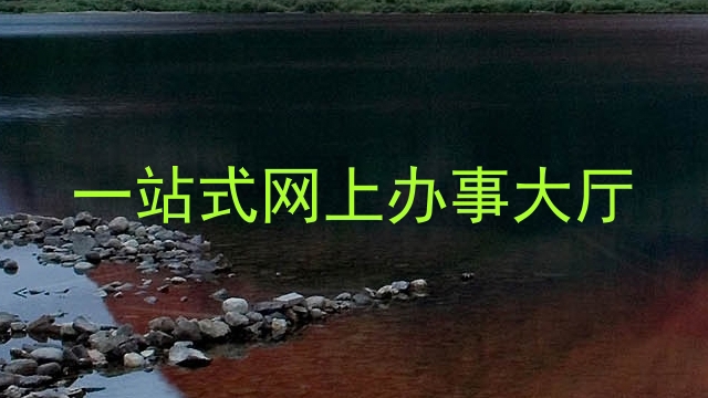 一站式网上办事大厅