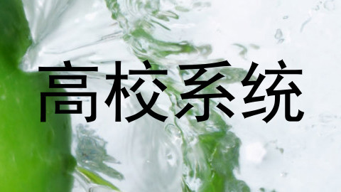 高校系统