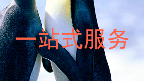 一站式服务
