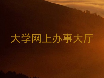 大学网上办事大厅