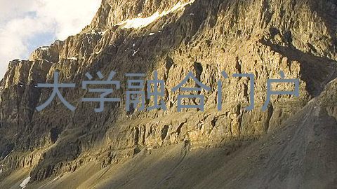 大学融合门户