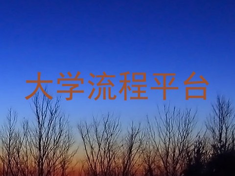 大学流程平台