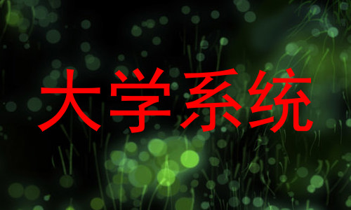 大学系统