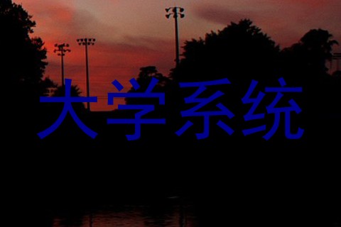 大学系统