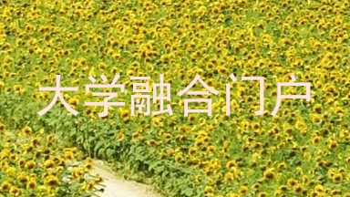 大学融合门户