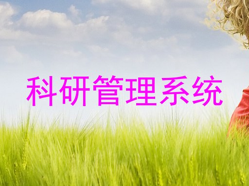 科研管理系统