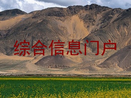 综合信息门户