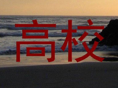 高校