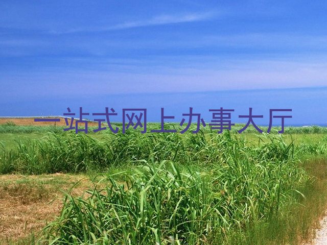 一站式网上办事大厅