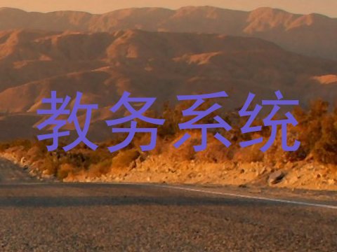 教务系统