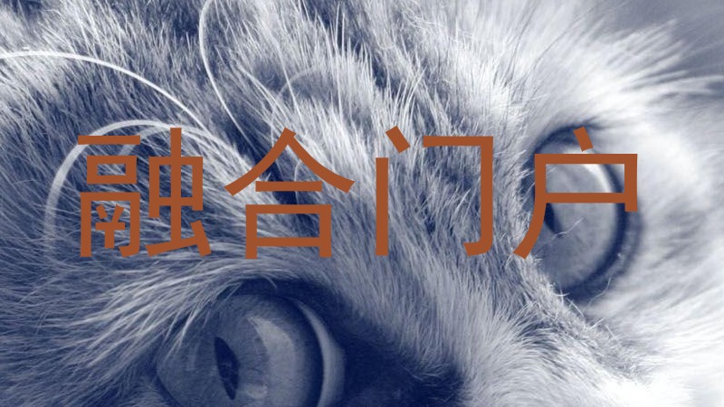 融合门户