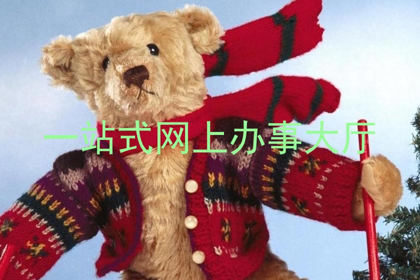 一站式网上办事大厅
