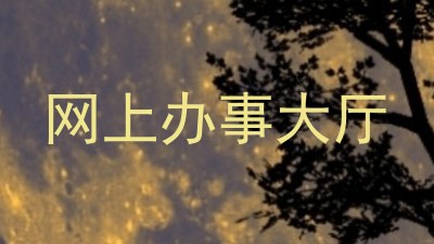 网上办事大厅