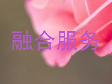 融合服务