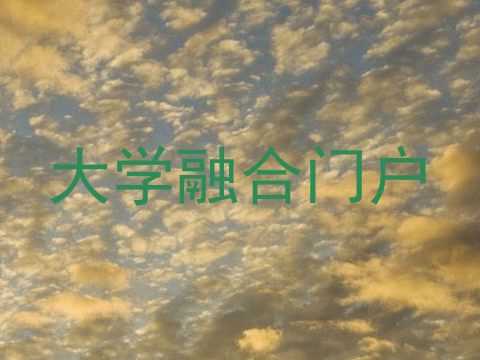 大学融合门户