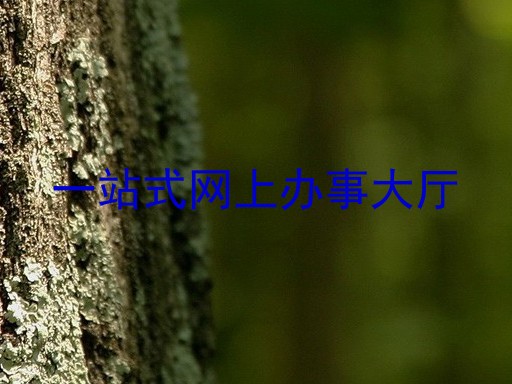 一站式网上办事大厅