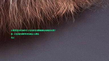 排课管理系统如何在大连高校实现数据驱动的精准决策?
## 大连高校排课管理的痛点与挑战
在辽