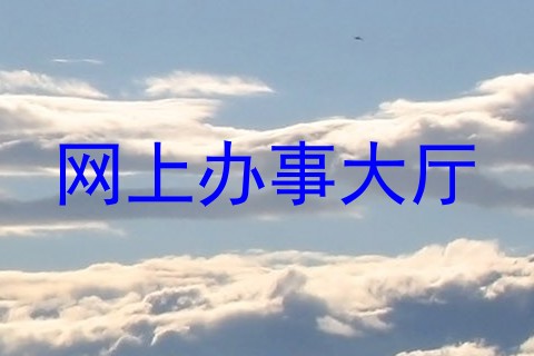 网上办事大厅