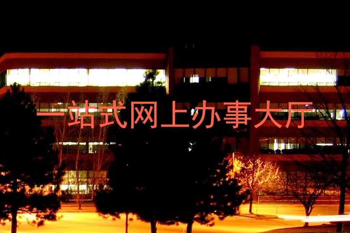一站式网上办事大厅