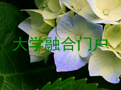 大学融合门户