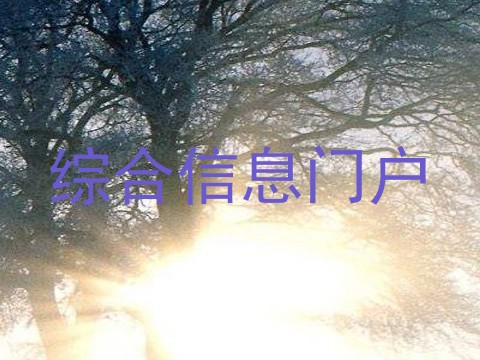 综合信息门户