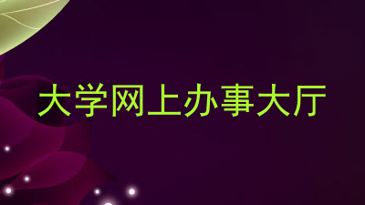 大学网上办事大厅