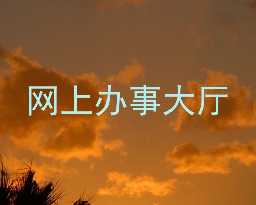 网上办事大厅