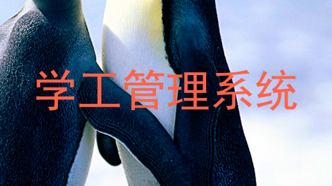 学工管理系统