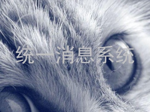 统一消息系统