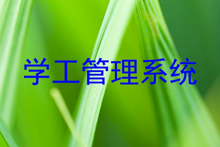 学工管理系统