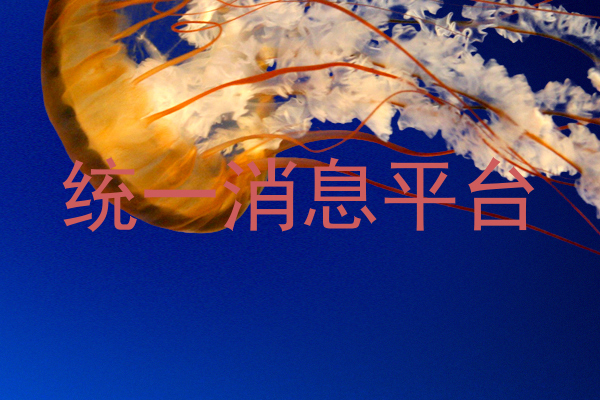 统一消息平台